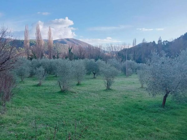 terreno agricolo in vendita a Spoleto in zona Baiano
