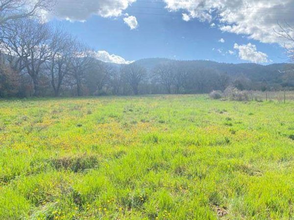 terreno agricolo in vendita a Spoleto in zona Cortaccione