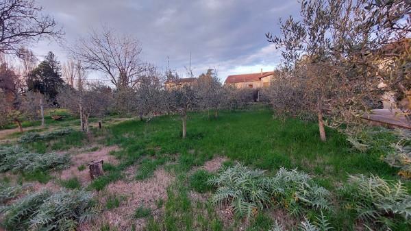 negozio in vendita a Spoleto in zona Santo Chiodo