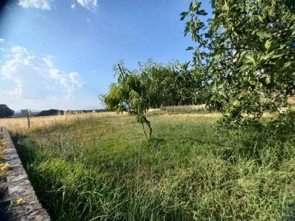 casa indipendente in vendita a Spoleto