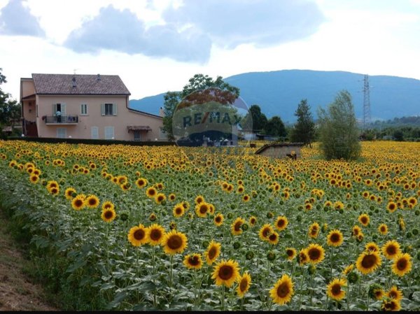 casa indipendente in vendita a Spoleto in zona Baiano