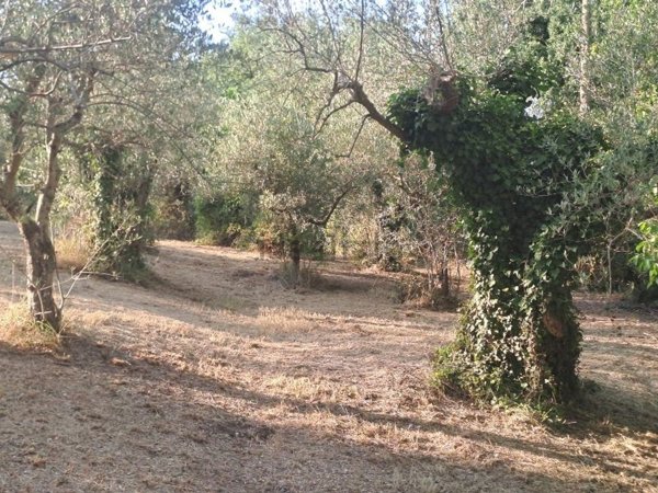 terreno edificabile in vendita a Spoleto