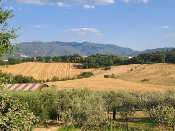 terreno edificabile in vendita a Spoleto
