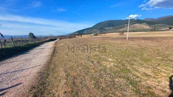terreno agricolo in vendita a Spoleto