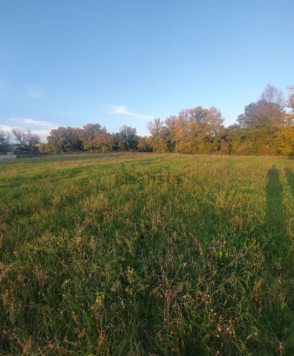 terreno edificabile in vendita a Spoleto