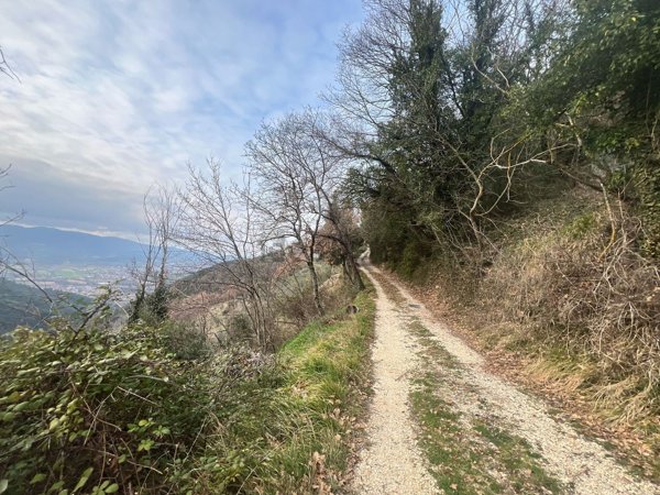 appartamento in vendita a Spoleto in zona Collerisana