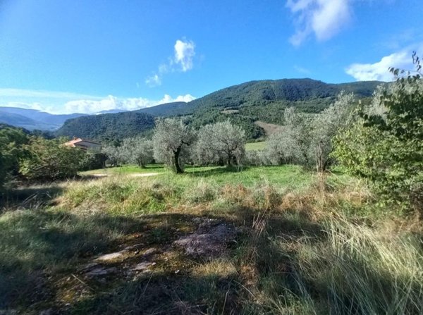 terreno agricolo in vendita a Spoleto in zona Ancaiano