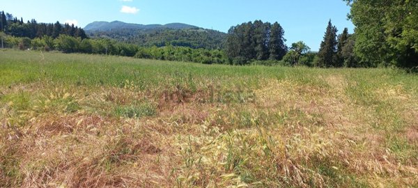 terreno agricolo in vendita a Spoleto