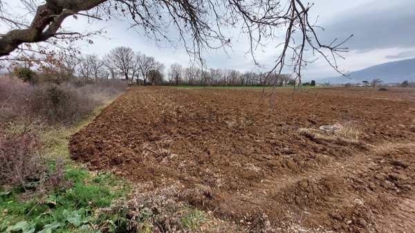 terreno agricolo in vendita a Spoleto