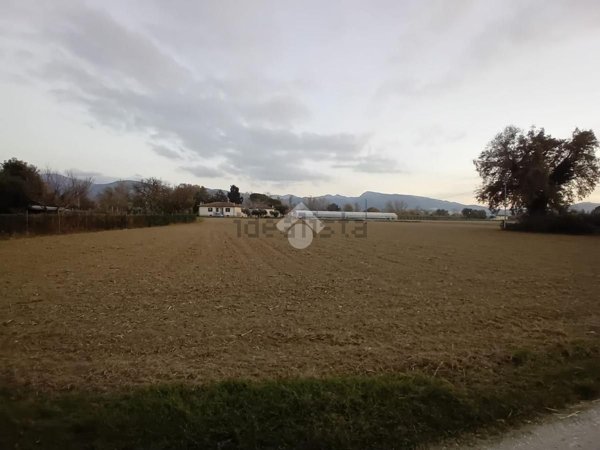 terreno agricolo in vendita a Spoleto in zona Protte