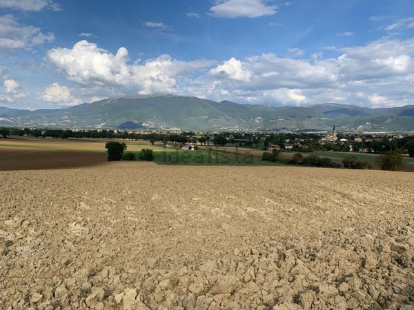 casa indipendente in vendita a Spoleto in zona Terraia