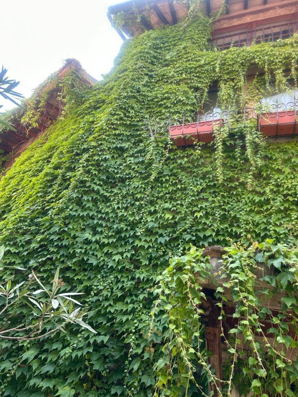 appartamento in vendita a Spoleto