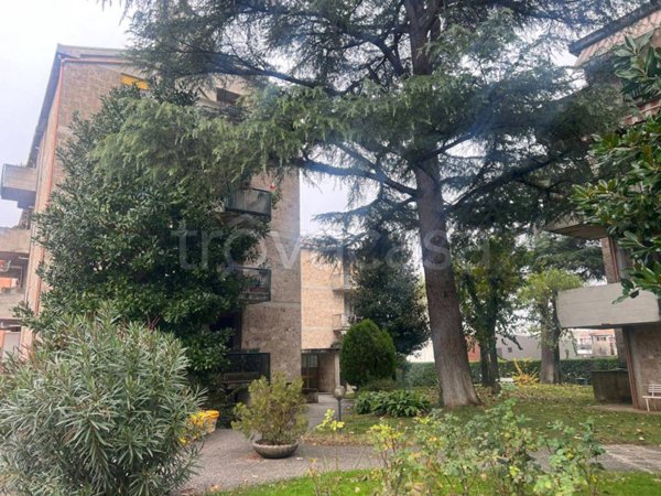 appartamento in vendita a Spoleto