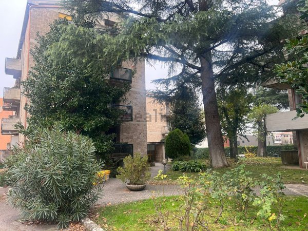 appartamento in vendita a Spoleto