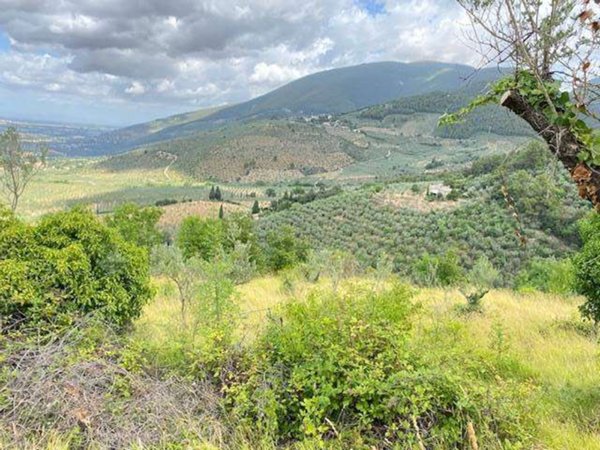 terreno agricolo in vendita a Spoleto in zona Poreta