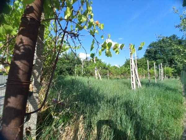 casa indipendente in vendita a Spoleto