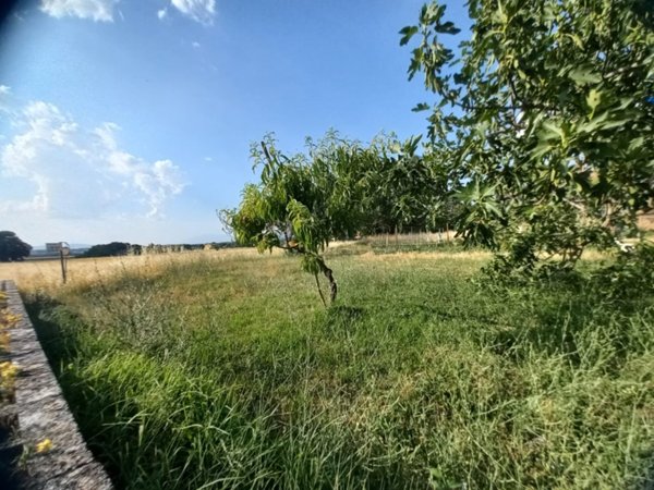 casa indipendente in vendita a Spoleto