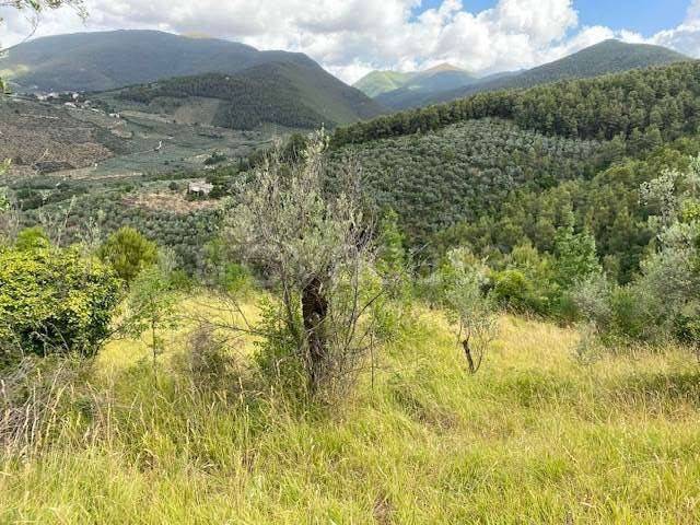 terreno agricolo in vendita a Spoleto in zona Poreta