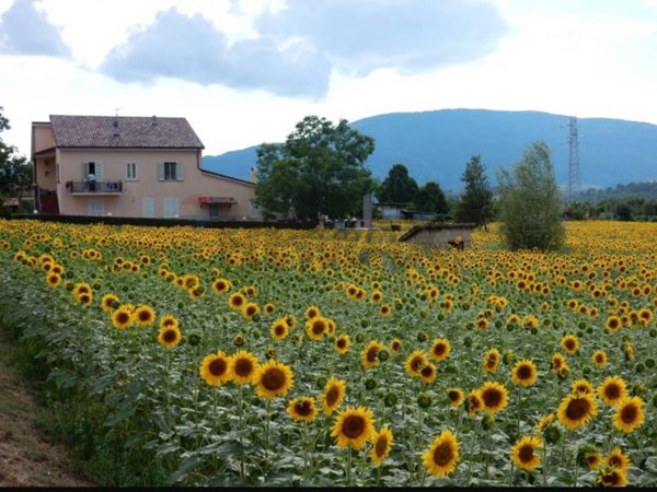 casa indipendente in vendita a Spoleto in zona Baiano
