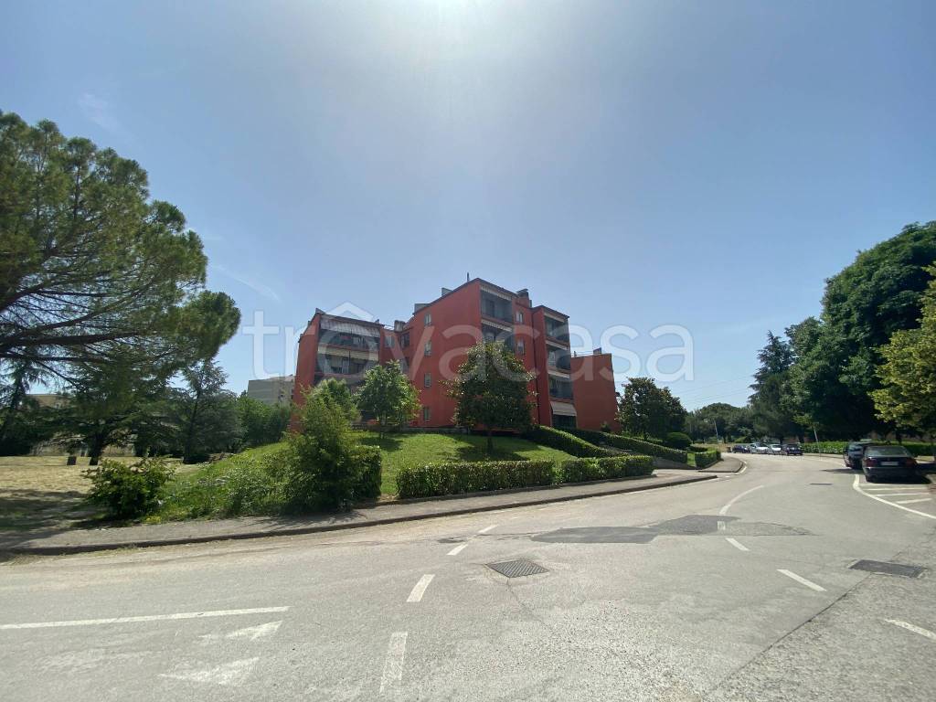 appartamento in vendita a Spoleto