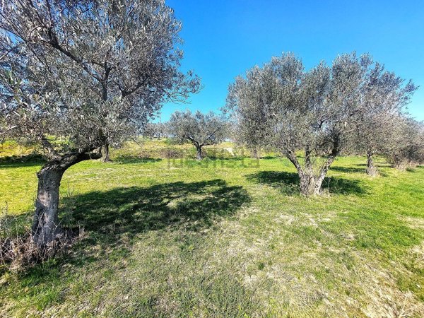 casa indipendente in vendita a Spoleto