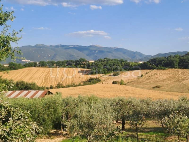 terreno agricolo in vendita a Spoleto