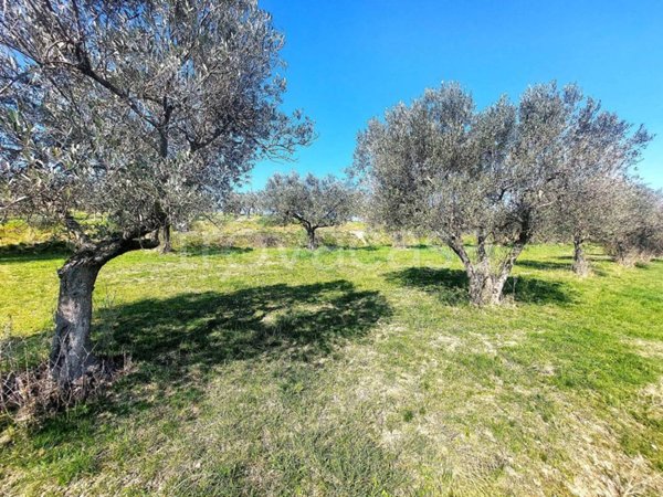 casa indipendente in vendita a Spoleto
