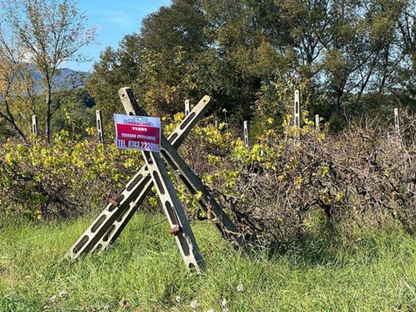 terreno edificabile in vendita a Spoleto in zona San Martino