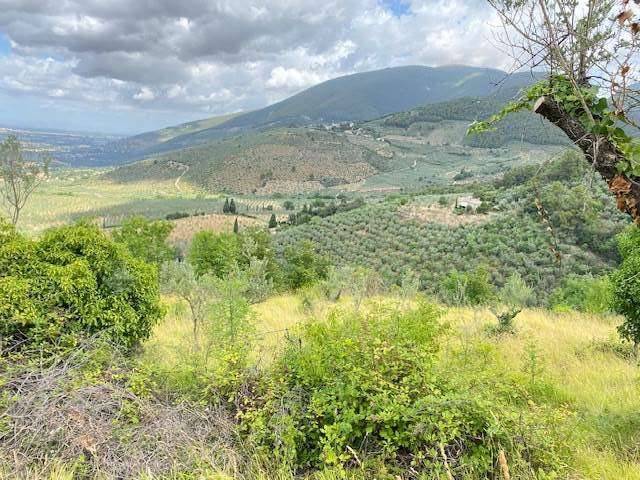 terreno agricolo in vendita a Spoleto in zona Poreta