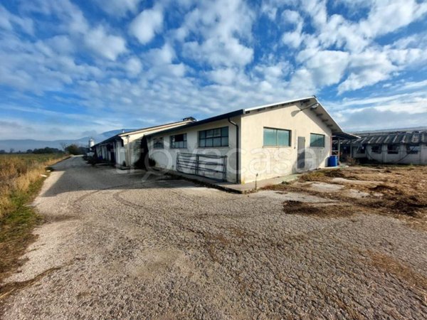 terreno agricolo in vendita a Spoleto