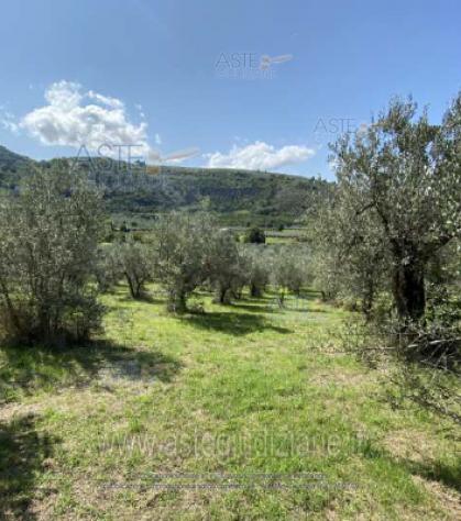 terreno edificabile in vendita a Spoleto