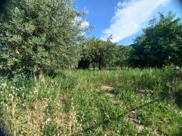 terreno agricolo in vendita a Spoleto