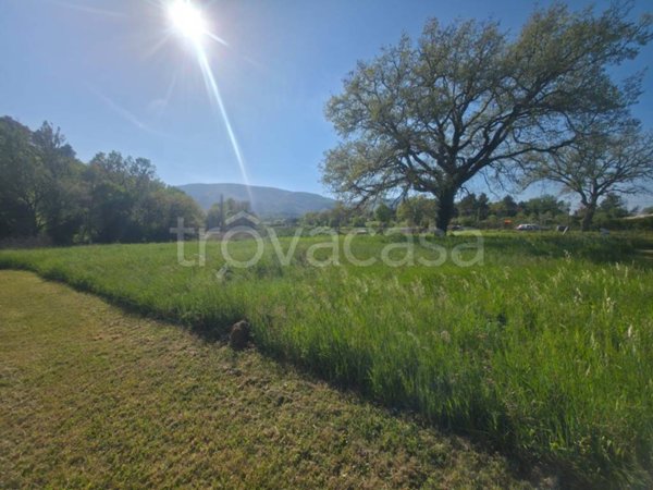 casa indipendente in vendita a Spoleto