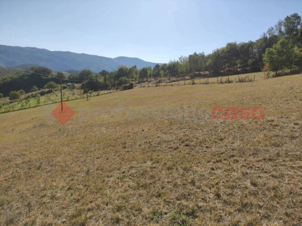 terreno agricolo in vendita a Spoleto