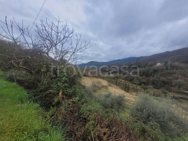 terreno agricolo in vendita a Spoleto in zona Strettura