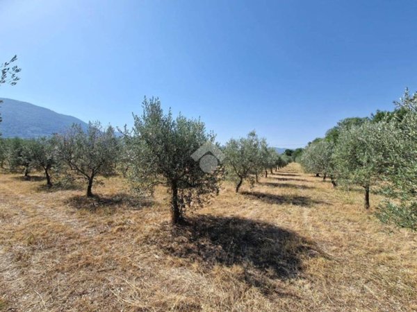 terreno in vendita a Spoleto in zona Poreta