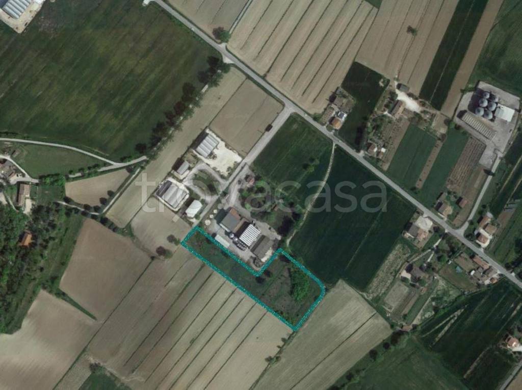 terreno edificabile in vendita a Spoleto in zona Petrognano