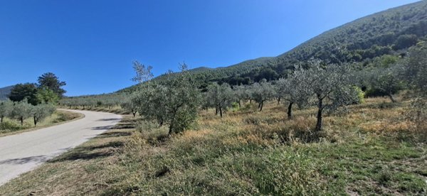 casa indipendente in vendita a Spoleto in zona Bazzano Inferiore
