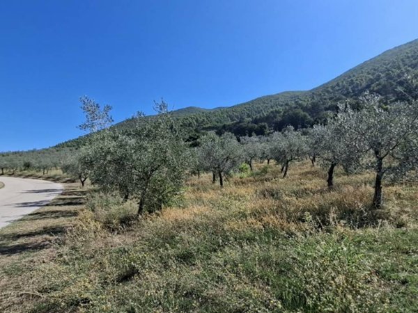 terreno in vendita a Spoleto