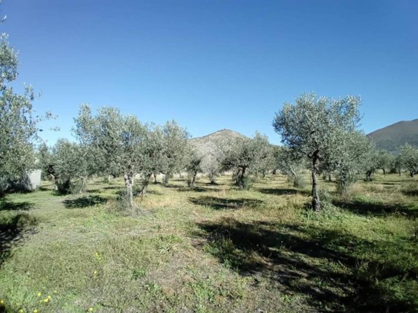 terreno in vendita a Spoleto