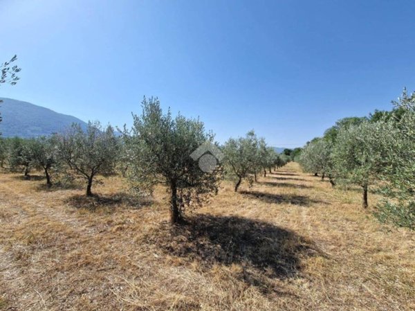 terreno in vendita a Spoleto in zona Poreta