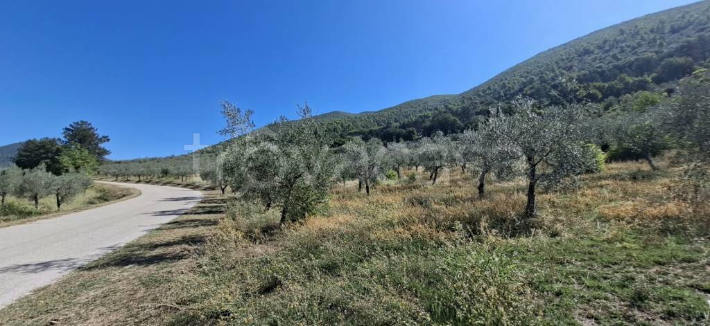 casa indipendente in vendita a Spoleto