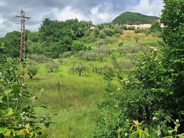 terreno in vendita a Spoleto in zona Strettura