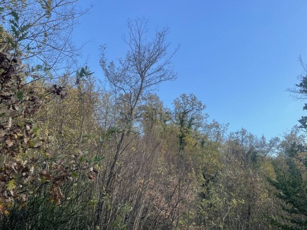 terreno in vendita a Spoleto