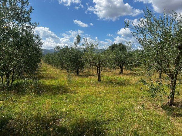 terreno in vendita a Spoleto in zona San Giacomo
