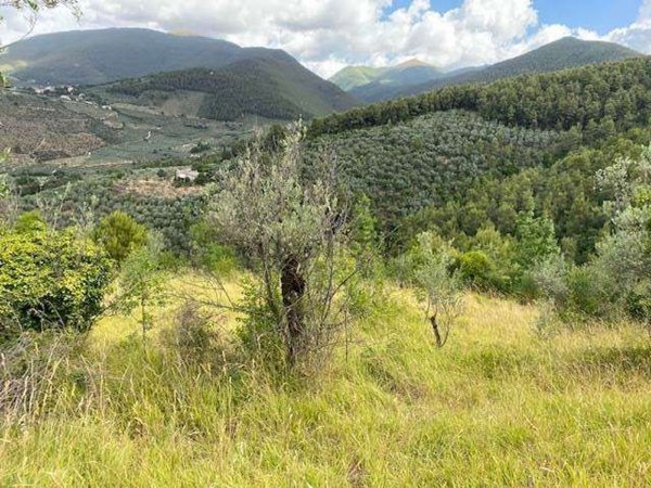 terreno in vendita a Spoleto in zona Poreta