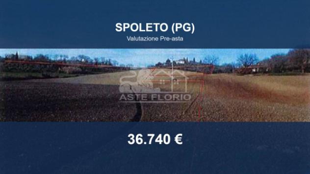 terreno agricolo in vendita a Spoleto