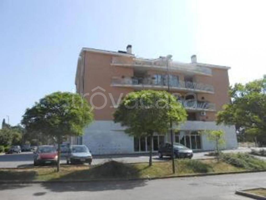 negozio in vendita a Todi
