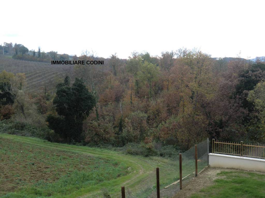 terreno agricolo in vendita a Todi in zona Ponterio