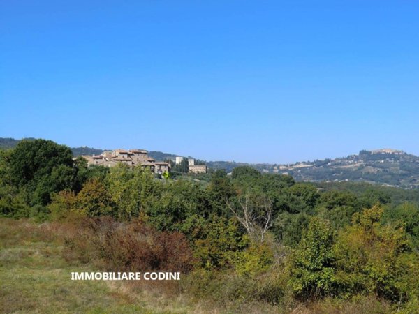 terreno agricolo in vendita a Todi in zona Cecanibbi